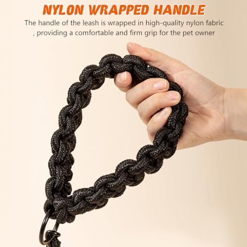Qpets Dog Leash Metal, Dog Chain Leash for 33-60 lbs Medium Large Dog Breeds 5.5Ft Iron Chain Leash with Nylon Handle, Quick Release Dog Leash for Border Collie, Brittany Spaniel, Bull Terrier, L Qpets Dog Leash Metal, Dog Chain Leash for 33-60 lbs Medium Large Dog Breeds 5.5Ft Iron Chain Leash with Nylon Handle, Quick Release Dog Leash for Border Collie, Brittany Spaniel, Bull Terrier, L